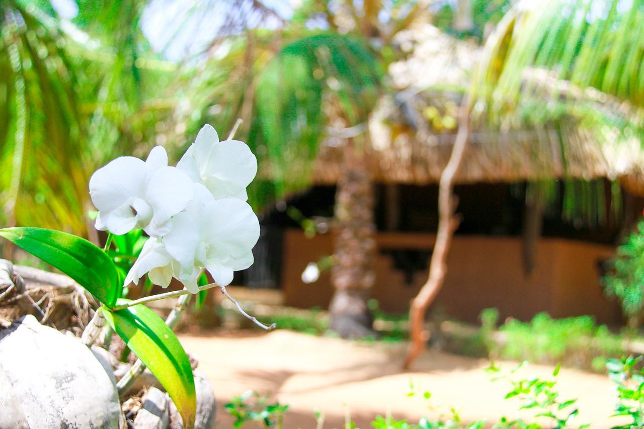 Yalaway Nature Villa Tissamaharama Kültér fotó