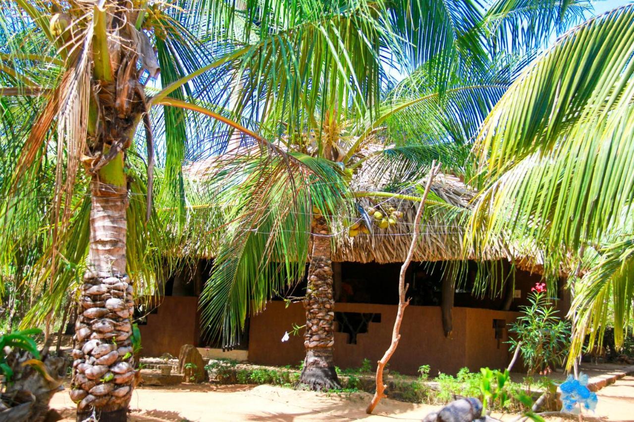 Yalaway Nature Villa Tissamaharama Kültér fotó